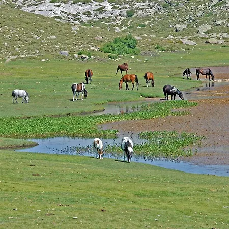 Castel De Vergio Albertacce